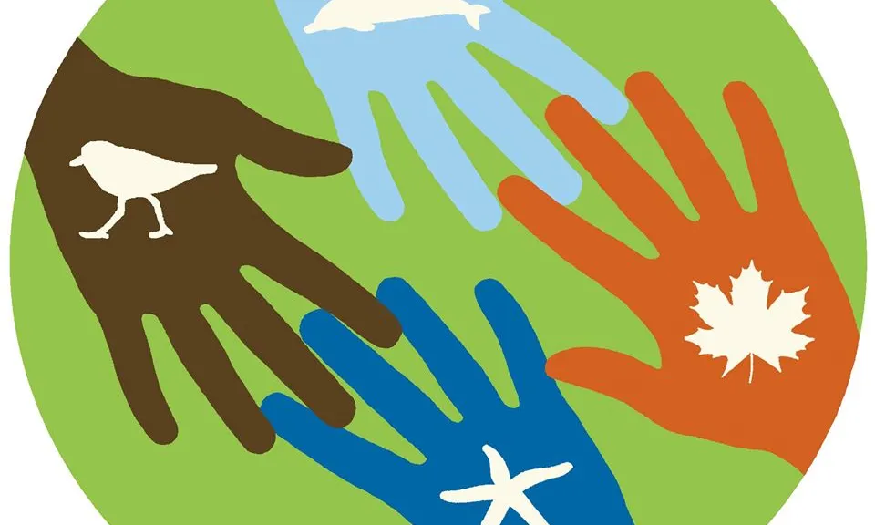 La sessió està orientada a aprofundir sobre la llei del voluntariat i sobre l'elaboració del pla de voluntariat en les entitats ambientals (imatge: xvac.cat)