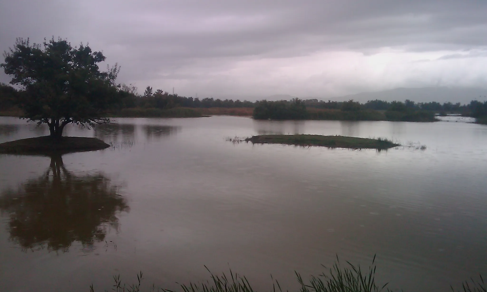 Imatge dels Aiguamolls de l'Empordà (imatge: flickr/diluvi) 