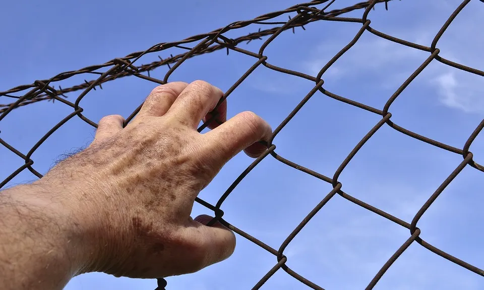 Una desena de persones voluntàries de Justícia i Pau es dediquen a programes culturals. Font: José Alba Fotos