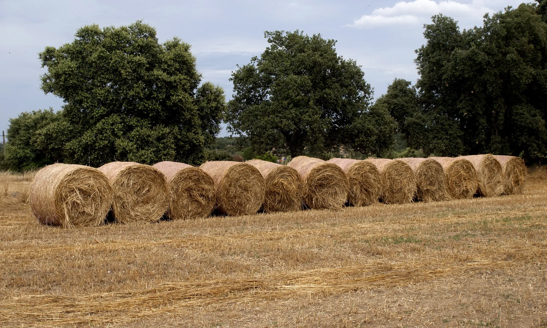 Bales de palla en un camp