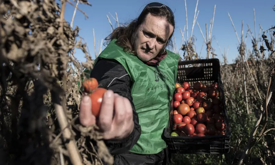 Mans Unides aposta per un sistema alimentari que permeti un aprofitament integral de la producció, evitant la pèrdua i malbaratament d'aliments (Font: mansunides.org)