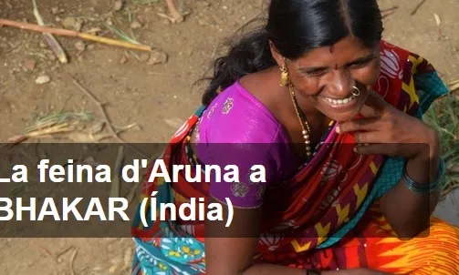 Campanya de Verkami de Bhakar. Font: Bhakar