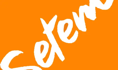 Logo de SETEM, organització que ofereix camps de treball. Font: SETEM