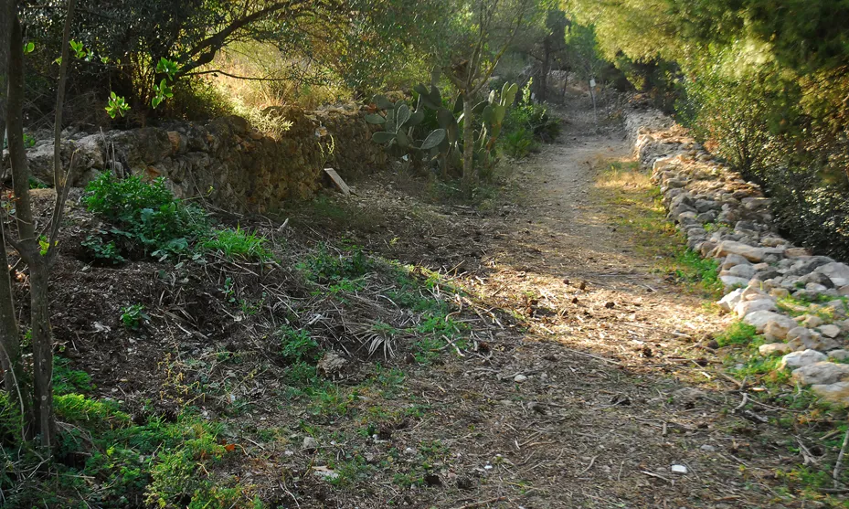 Es prepara un camp de treball a Vilanova i la Geltrú per l'estiu de 2017 (imatge: plataforma defensem l'Ortoll) 