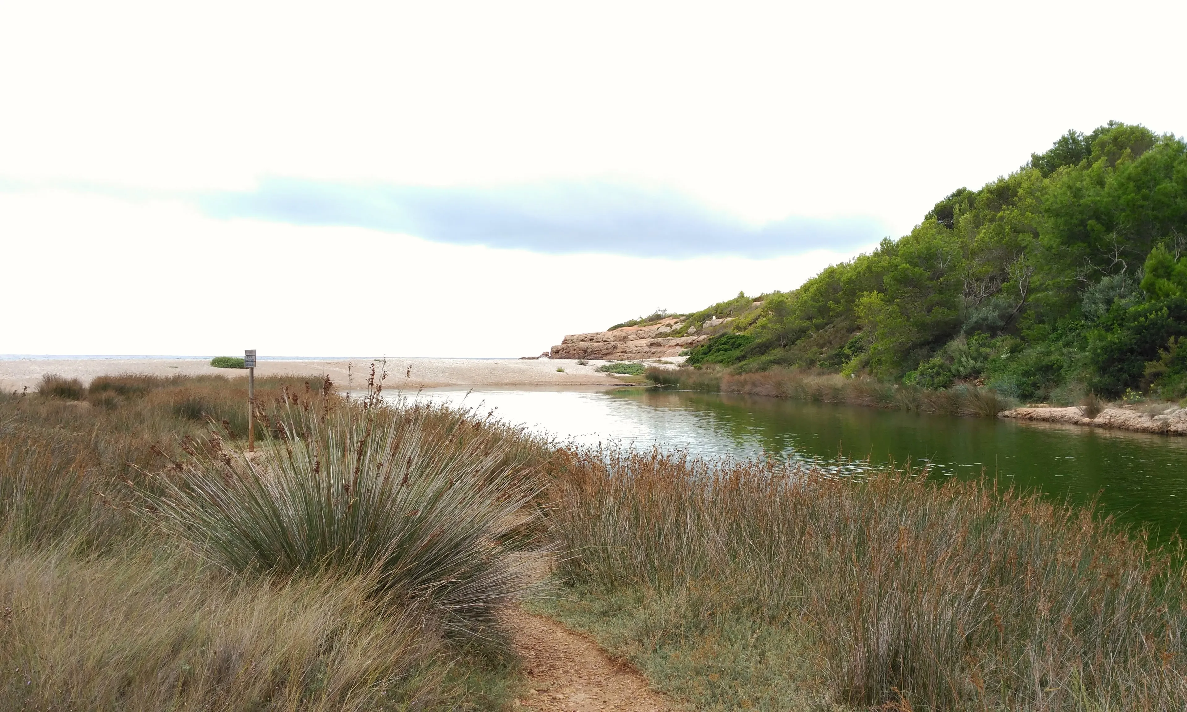 L'entitat reclama en la llei la visió de les platges com a espais naturals, que requereixen una gestió ambiental i no només una explotació. A la imatge, la Platja de Santes Creus a l'Ametlla de Mar  (imatge: flickr/diluvi)