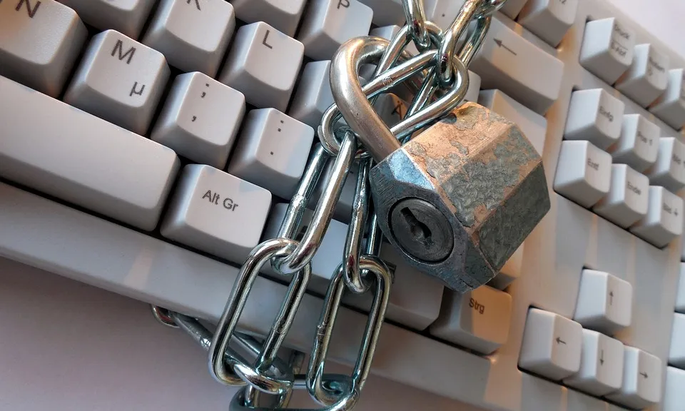 El dret a la pròpia imatge es considera un dret fonamental segons la Constitució. Font: Pixabay