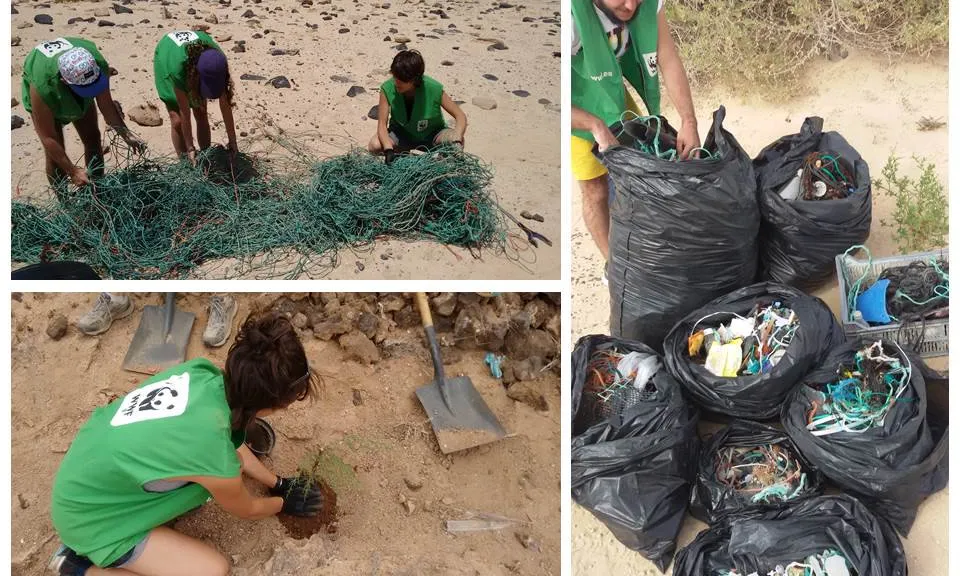 Camp de treball a l'arxipèlag Chinijo, a l'illa de La Graciosa, amb WWF (Imatge: wwf) 