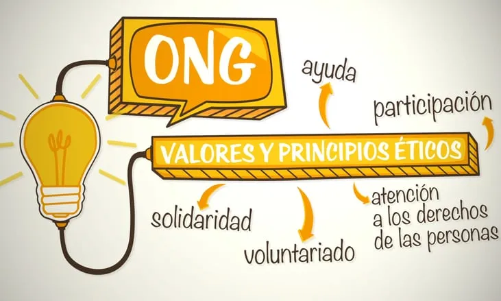 Principis promoguts per l'Institut per a la Qualitat de les ONG. Font: ICONG