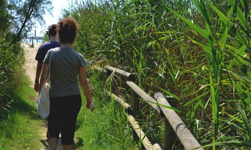 L'Associació Mediambiental La Sínia conserva en custòdia els espais naturals de la desembocadura del riu Gaià (imatge: arrelia.cat)