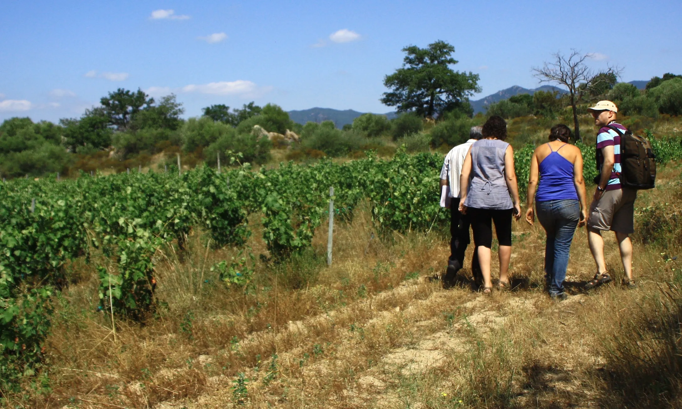 Una proposta d'ecoturisme a l'Empordà a la finca en custòdia de Can Torres, amb la Iaeden (imatge: arrelia.cat)