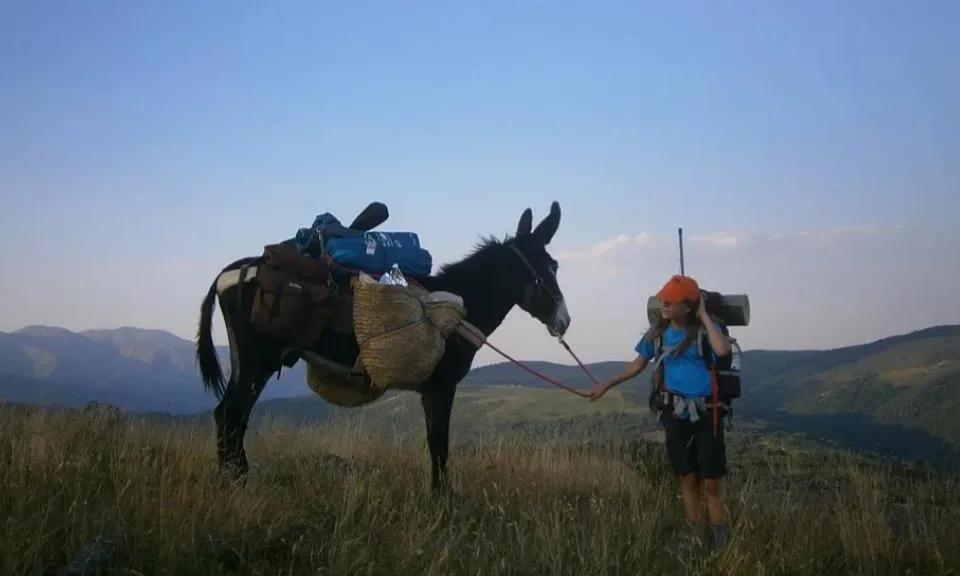 L'associació La Sorellona desenvolupa gran varietat d’activitats, sempre amb l’objectiu d’aprendre a la natura, de la natura i sobre la natura, divulgant  la ciència per a tots els públics. (imatge:La Sorellona)
