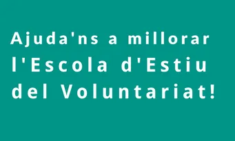 Escola d’Estiu del Voluntariat - Foto: DGACC