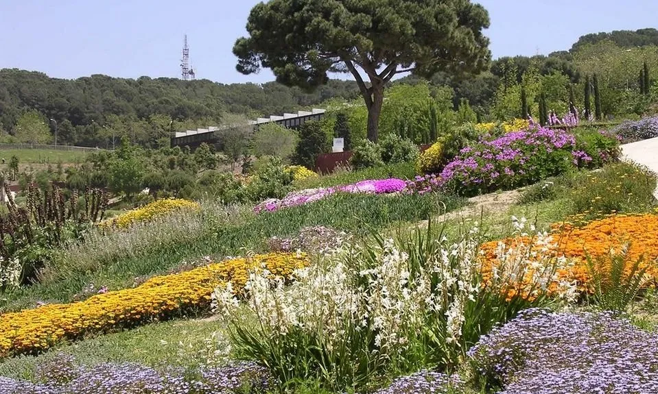Planta’t al Botànic (Barcelona, cada primer diumenge de mes).
