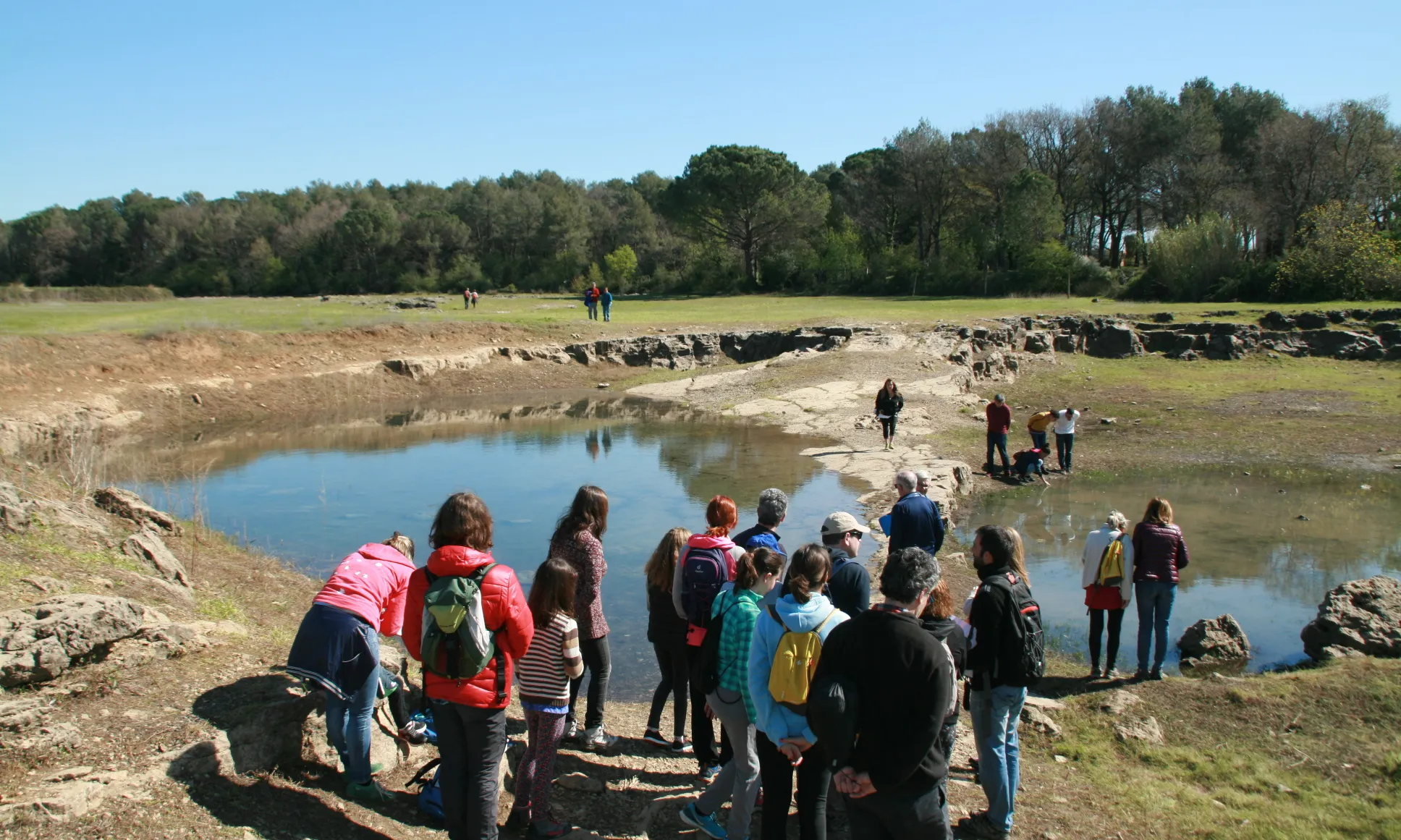 La surgència d'aigua i l'eclosió dels ous de triops atreu a la natura gran nombre de visitants, que han de tenir un comportament respectuós (imatge: limnos.org)