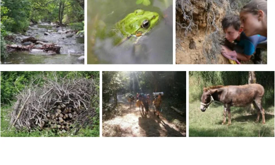 A través de la ruta a peu, l’observació de fauna, la descoberta de l’entorn i el paisatge canviant, seran els protagonistes del seu propi aprenentatge. (imatge: La Sorellona)