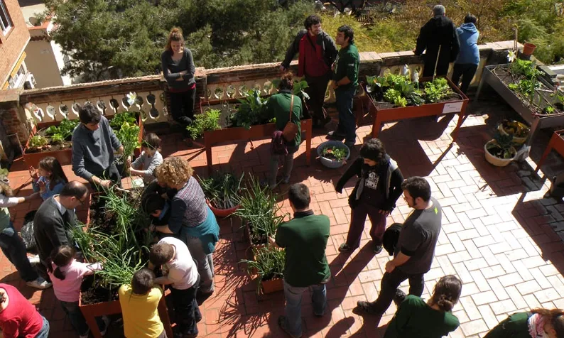 Al terrat de Lluïsos de Gràcia es cuiden horts urbans.