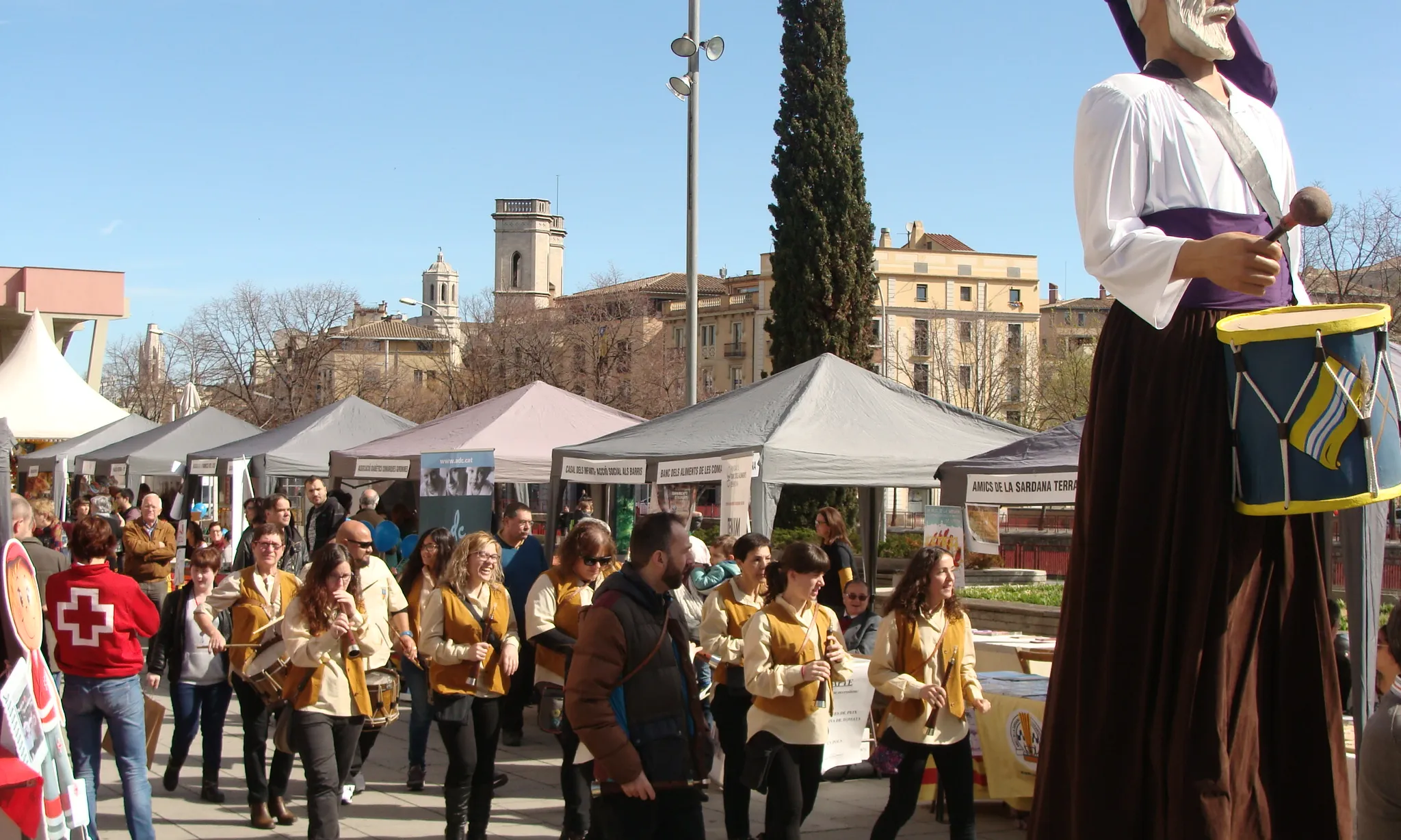 Cercavila de la Fira d'Entitats de Girona 2016 