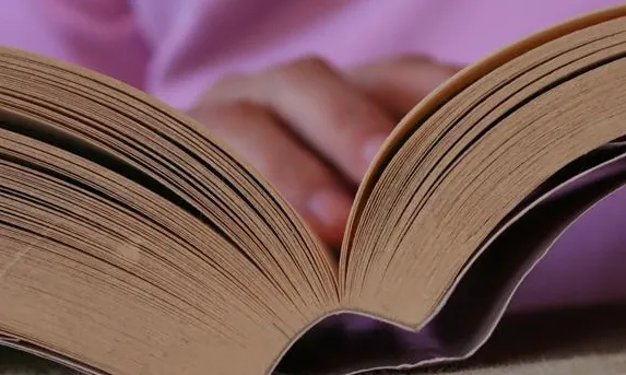LLibre_* Polly *_Flickr LLibre_* Polly *_Flickr