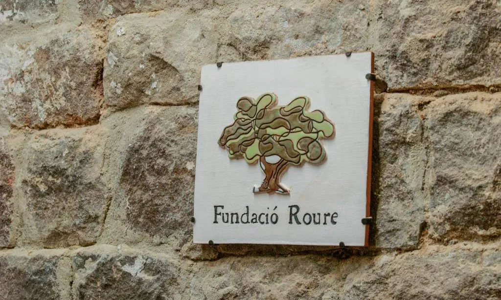 Des de fa 20 anys, Fundació Roure treballa a Ciutat Vella.