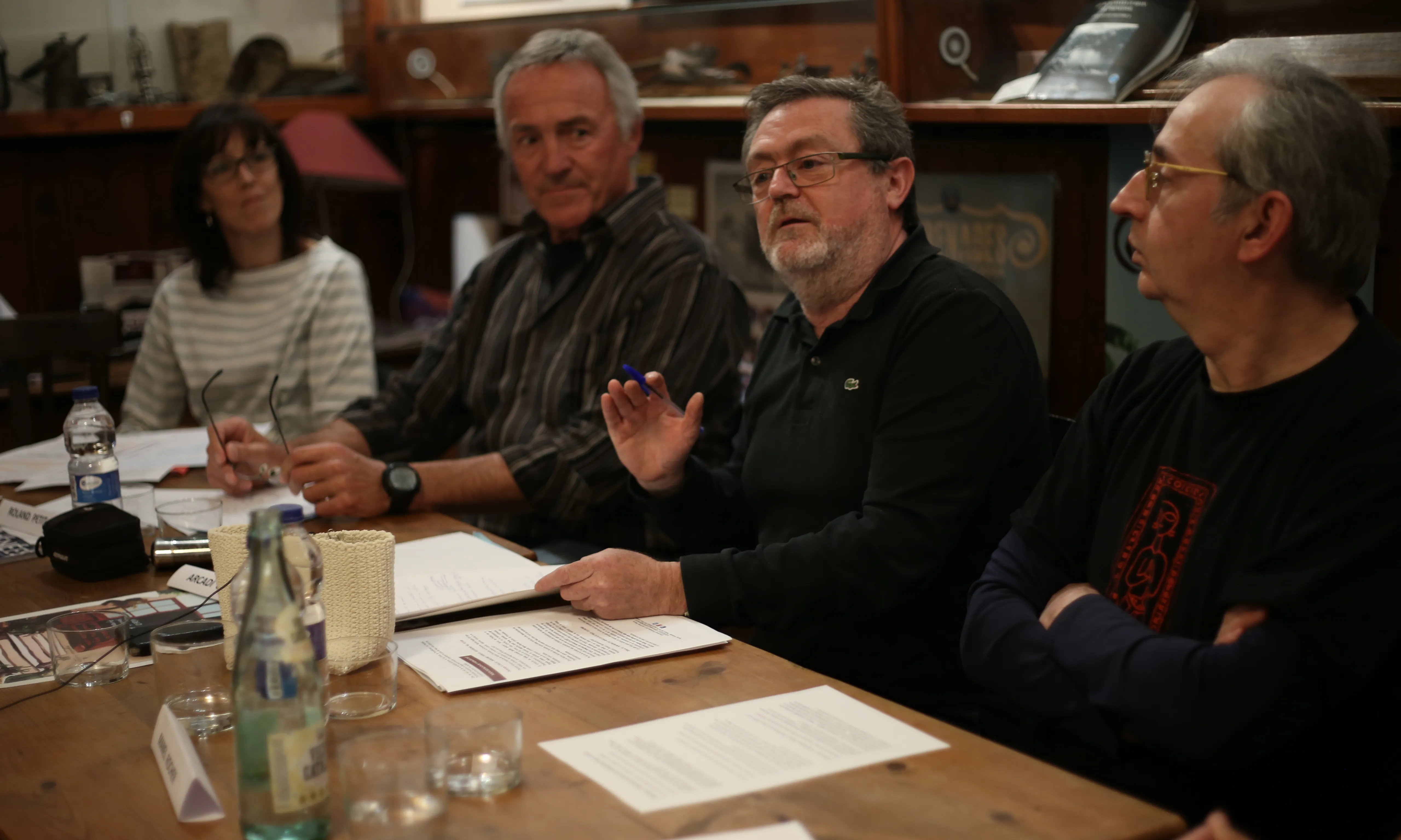 Debat sobre pirineisme