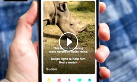 Els vídeos en format 1:1 tenen molt èxit a Facebook i Instagram.