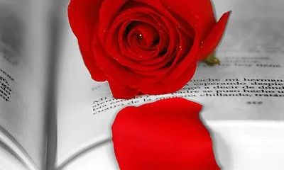 La rosa i el llibre, protagonistes de la diada