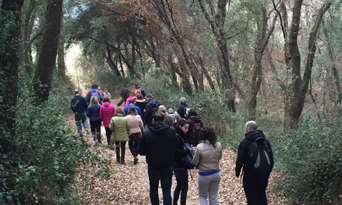 L'itinerari pel bosc de Santiga marca l'inici de l'educació ambiental a Catalunya  