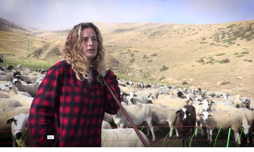 El projecte Pasturem.cat de L'Arada difon la tasca i revaloritza l’ofici i la vida dels pastors i pastores.