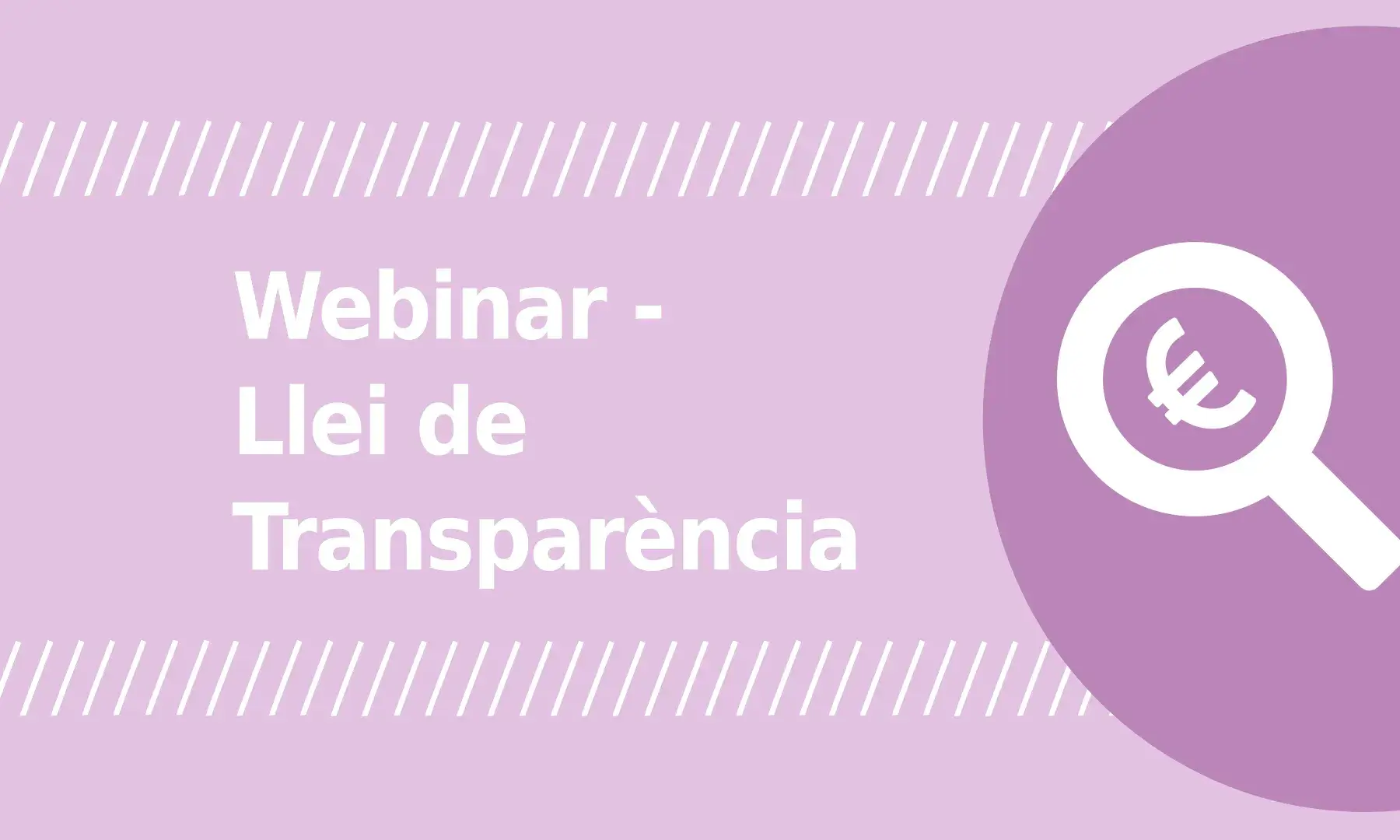 Imatge d'un webinar de Xarxanet. 