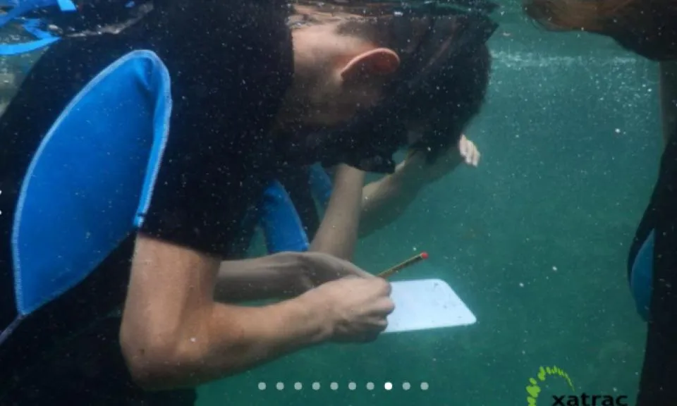 Els camps alternes immersions, voluntariat ambiental i sessions formatives