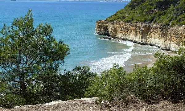 L'Associació Aurora treballa per la conservació del litoral a Tarragona