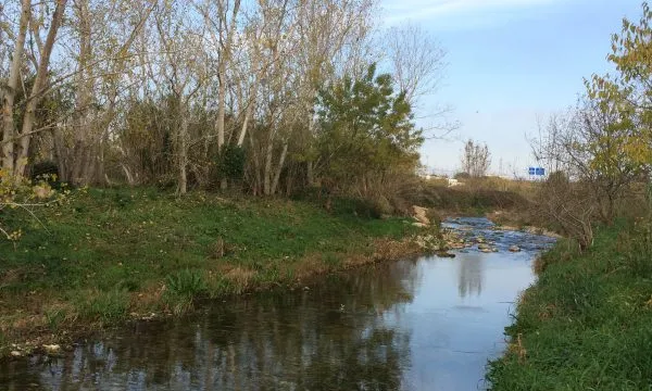 Projecte de millorar l’estat ecològic del riu Francolí al seu tram baix.