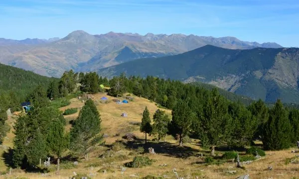 L'Associació Boscos de Muntanya promou la gestió sostenible dels boscos 
