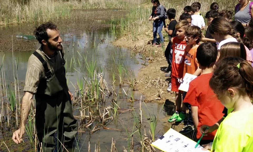 La Fundació Emys planteja un projecte per la recuperació de l'hàbitat per als amfibis