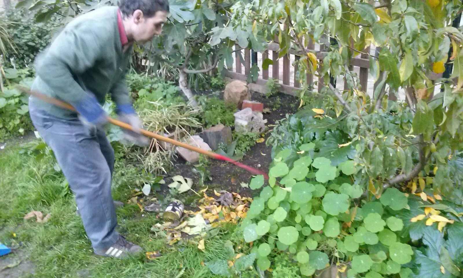 L'hort del Forat de la Vergonya
