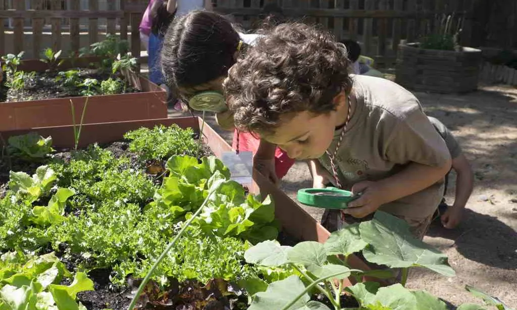 A més dels horts escolars, els infants tenen un recurs en els horts comunitaris per poder millorar el seu aprenentatge