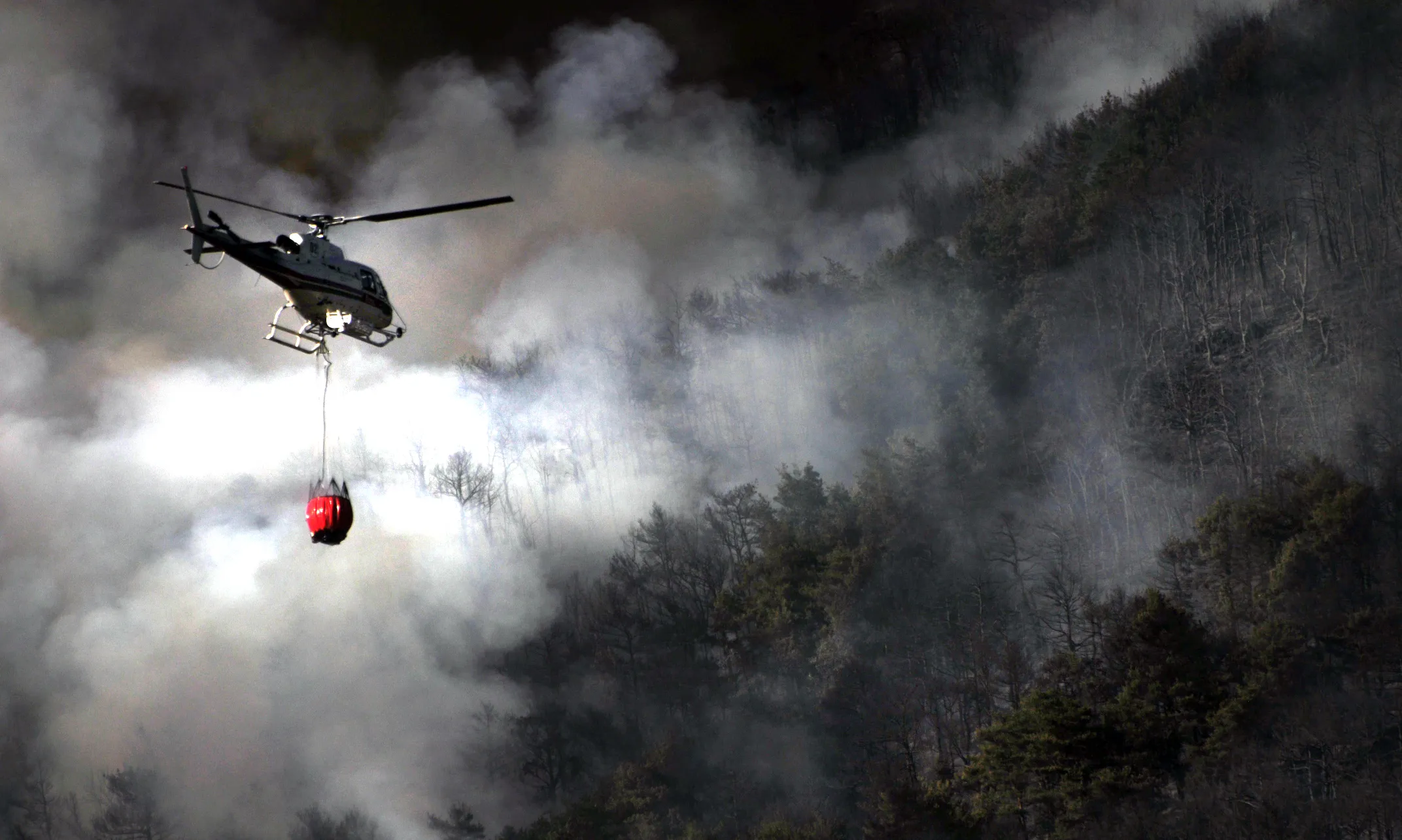 Incendi forestal_Ana de la Cava_Flickr