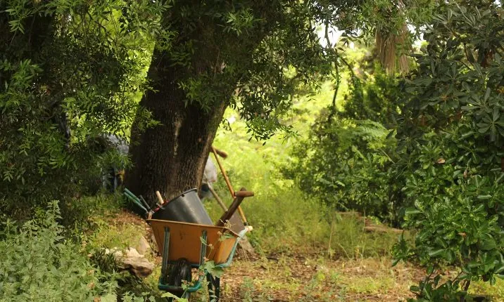 Voluntariat Ambiental a l'Ortoll, pulmó verd de Vilanova
