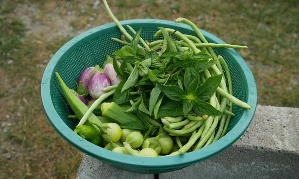 De l'hort a la cuina