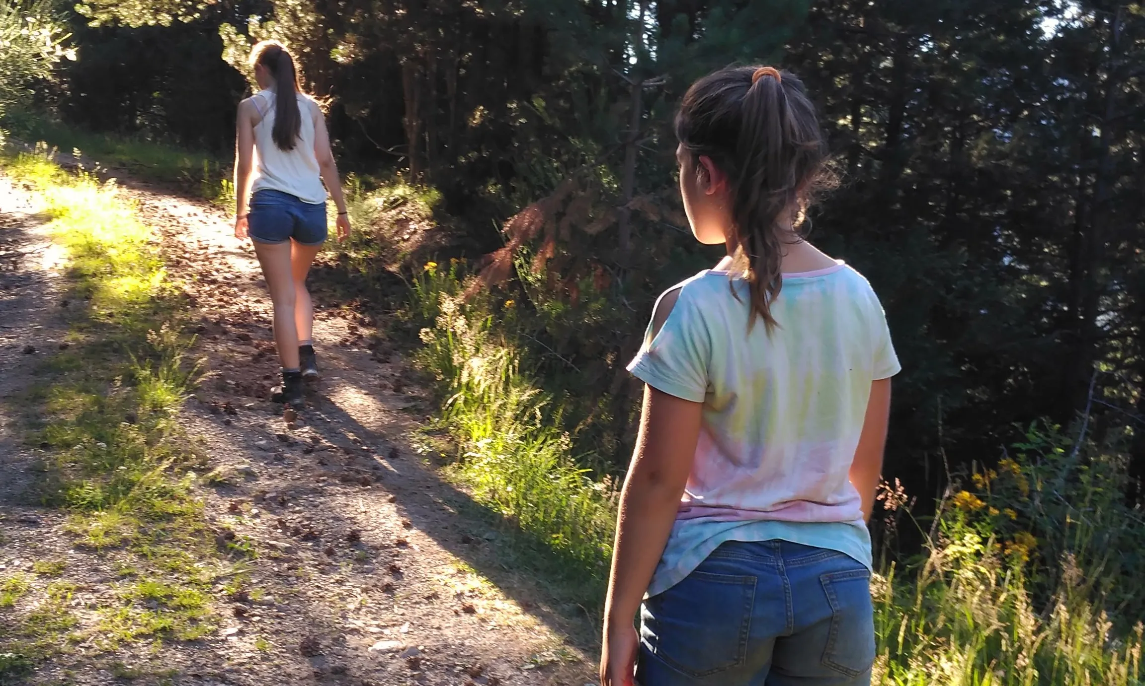 Bany de Bosc: salut i preservació de la natura