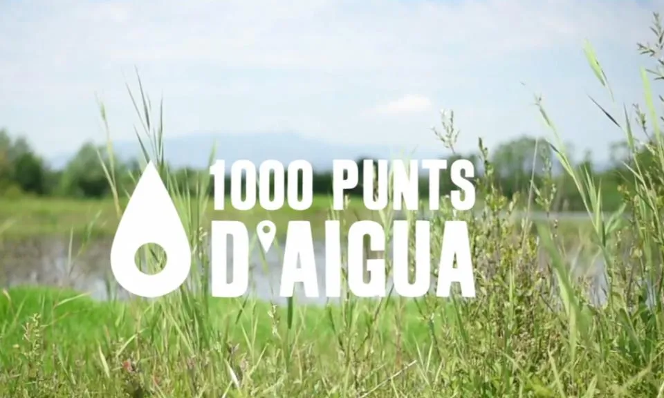 Aportant les dades sobre punts d'aigua participem en la xarxa de conservació d'hàbitats aquàtics més gran de Catalunya