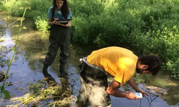 Entitats com l'Associació Mediambiental La Sínia treballen per la caracterització i millora dels rius i els boscos de ribera