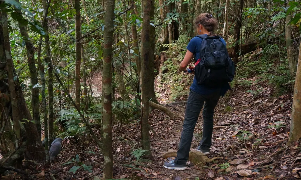 L'obra de Jennifer presenta coneixement científic amb una visió imaginativa, apropant la ciència a un públic profà i reflexionant sobre la humanitat en el món natural.