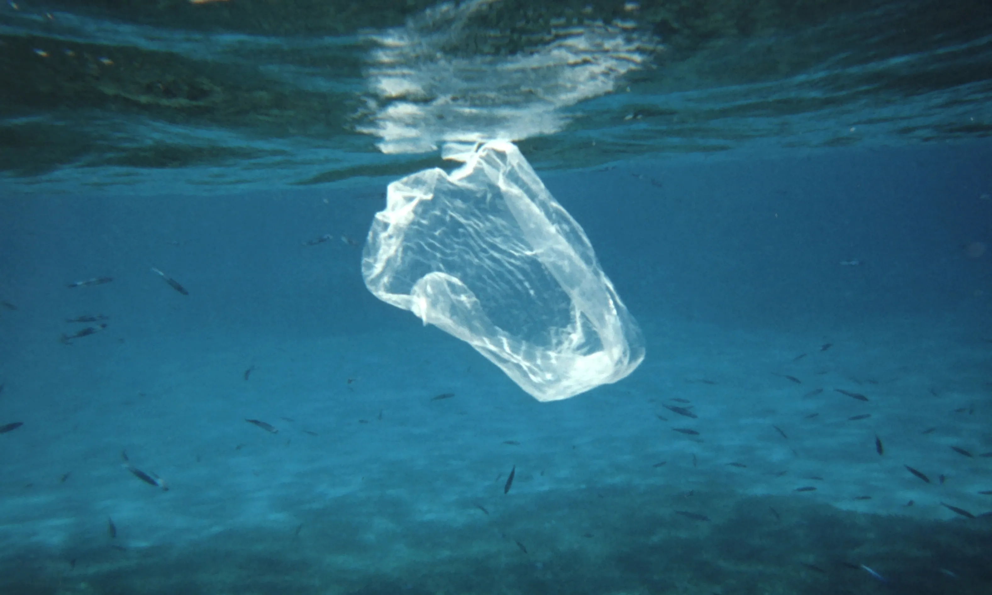Bossa de plàstic contaminant el mar. 