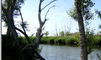 Ico organitza cursos flash en diferents indrets del territori, com al camí natural del Segre Zona Humida d'Utxesa, al Segrià 