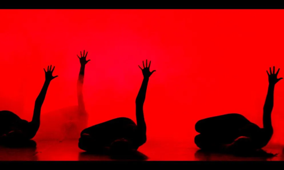 Dansa_M. M._Flickr Dansa_M. M._Flickr