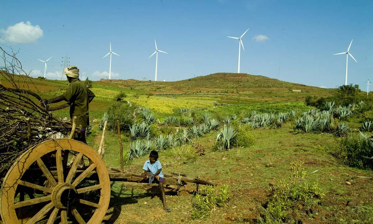 Projecte mediambiental de cooperació pel desenvolupament.