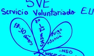 Servei Voluntari Europeu