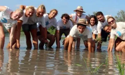 Voluntariat Ambiental a Riet Vell amb Seo Bird Life 