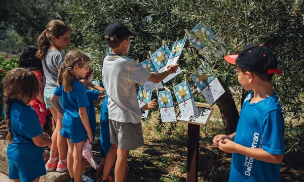 Alumnes del Col·legi Doctor Ferran de Cobera d'Ebre participant a la campanya "El meu arbre les teves arrels"
